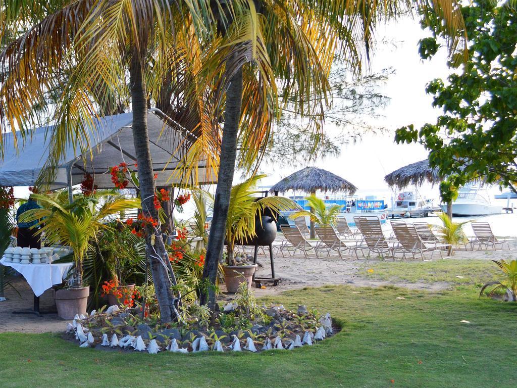 Oualie Beach Resort Nevis Zewnętrze zdjęcie